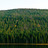 Thumbnail_gal_2000x714_forest