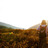 Thumbnail_gal_2000x714_hiking-field