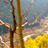 Thumbnail_gal_2000x714_scenic_mountain