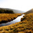Thumbnail_gal_2000x714_stream