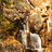 Thumbnail_gal_2000x714_waterfall