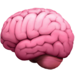 Brain Emoji (U+1F9E0)