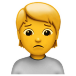 person frowning emoji