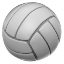 volleyball emoji