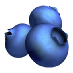 blueberries emoji