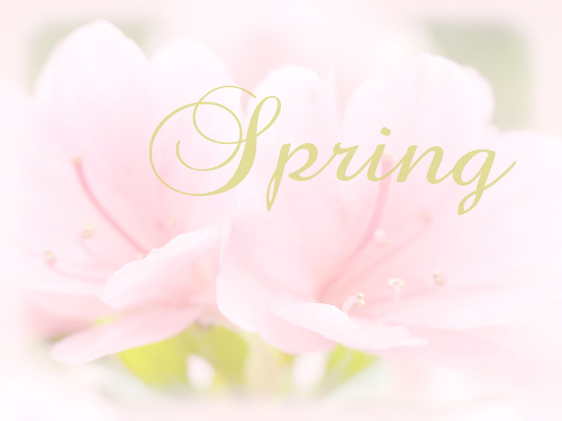 Spring Caption Background pink backgrounds for powerpoint. Spring Caption Background