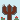 cacti