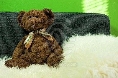 Teddy Bear picture