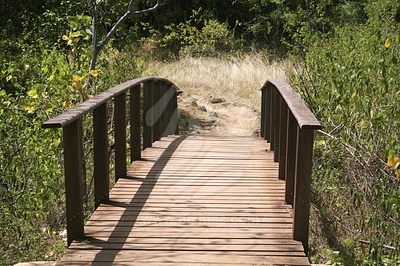 Wooden Bridge