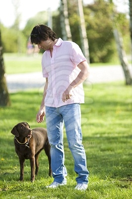 Young Man with the Dog in the Park picture