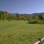 Commercial & Land