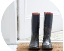 State College, PA Real Estate News - Nyssa's Neighborhood Newsletter Issue 1