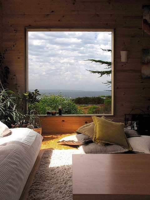 Picture Window