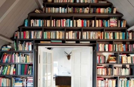 bookshelf 1