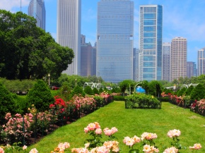 Best Dog Friendly Restaurants / Bars in Chicago