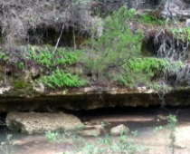 Local Trails