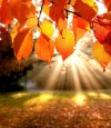 Top 5 Reasons To Search For A Home In The Fall