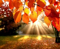Top 5 Reasons To Search For A Home In The Fall