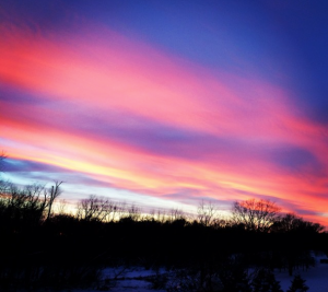 Homes for Sale with Acreage in Rogers MN