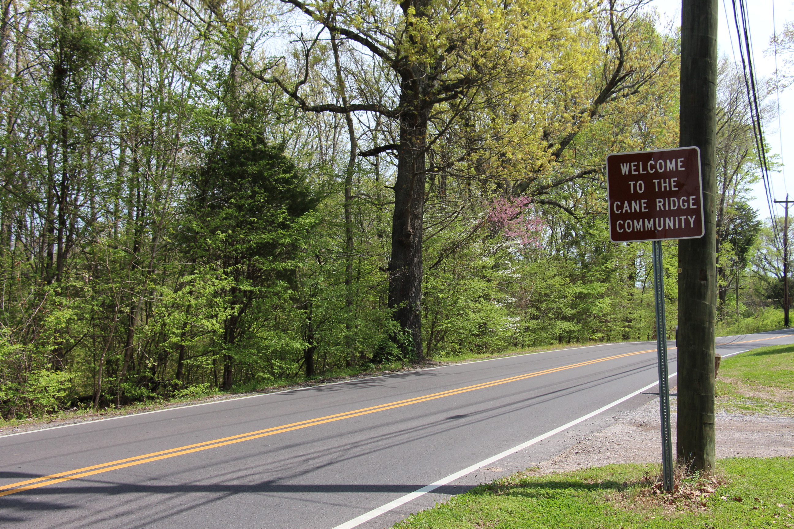Cane Ridge Archives Nashville And Beyond