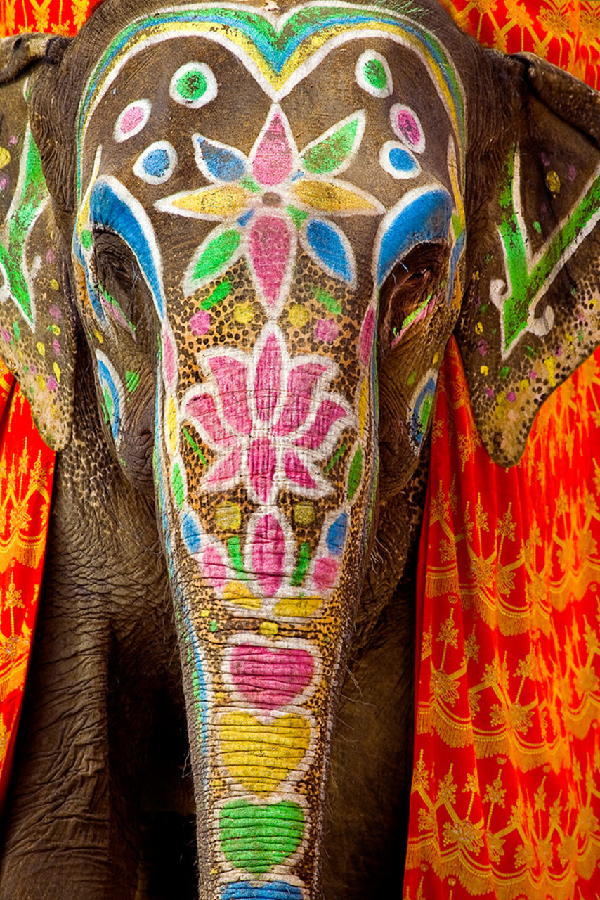 India-web