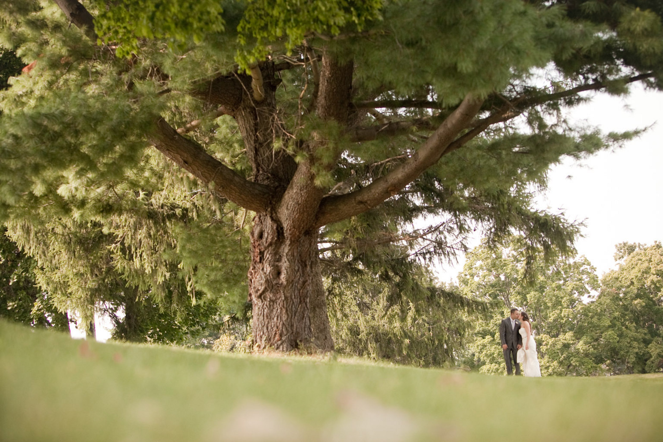 Web-20120824-sn-03