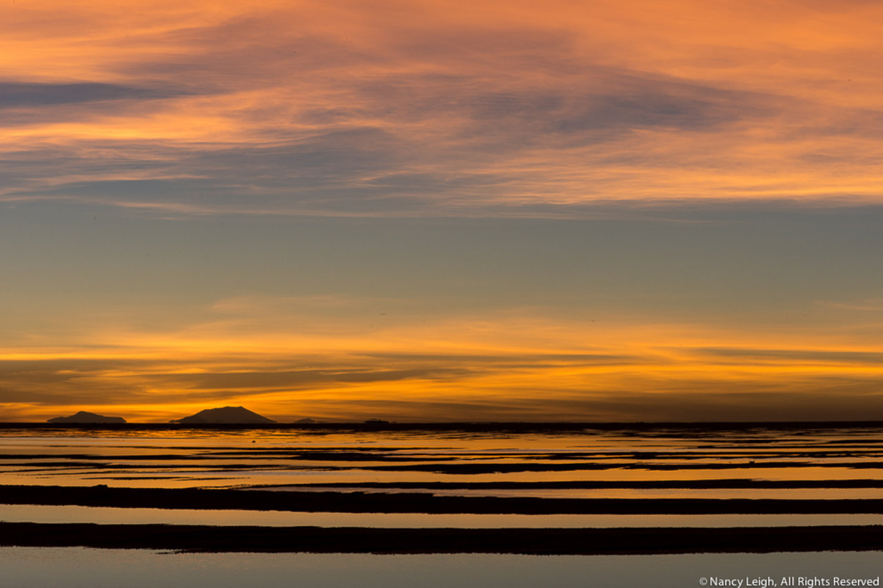 Nancy Leigh Photography