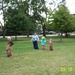 100_1544.jpg
