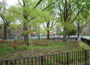 Pomonok Playground