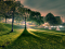 Trinity_belwoods_nuit-blanche