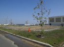Dsc09864