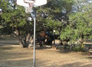 Playgroundect_006