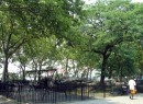 De Witt Clinton Park
