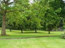 Alberta_park