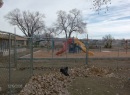 Reginald_chavez_dimensions_002