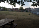 Field_2