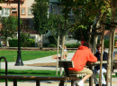 O'Connor Park