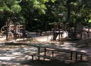 Bachman Park