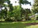 Center%20planting%20area