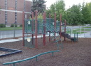 Dsc03175