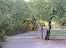 Mcdonald_path