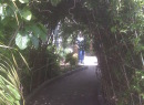 Botanic%20gardens_independence%20ave4