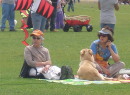 Fest%20of%20tails%202009152
