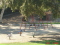All Saints Children's Center (ASCC) 