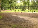 Pinetum_3247