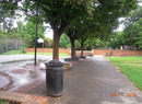 Dscn3011