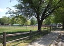 English Park