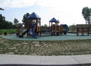Glasgow_park_1