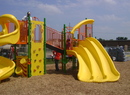 Dsc02981