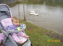 Loving_the_ducks